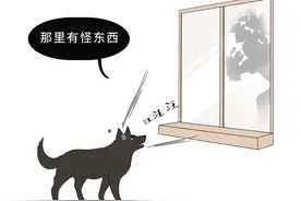 狗朝着没人的地方狂吠，是看到了什么「不干净」的东西吗？图片