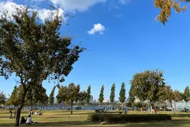 在韩国，公司没有给员工加入4大保险，员工应该怎么办？图片