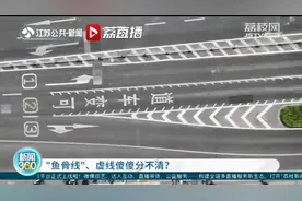 “鱼骨线”、虚线傻傻分不清？交警：能否变道看“鱼骨线”外侧那条线图片