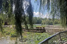 工作总结的写作方法和技巧图片