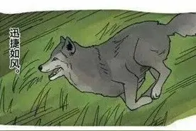 幽默搞笑段子｜笑得停不下来图片