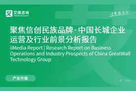 聚焦信创民族品牌· 中国长城企业运营及行业前景分析报告图片