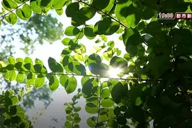 重要提醒：假期过半，天气有变化！图片