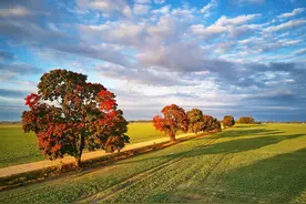 在电梯里碰到楼上的邻居，她的举止让我脑补了三个故事……图片