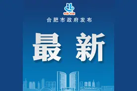 明起申报！合肥发布汽车以旧换新消费补助政策图片