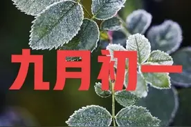 老话：“九月初一霜害人，重阳无雨一冬晴”，什么意思？预兆准吗图片