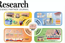 Research综述 | 面向多功能应用的柔性微针—西北工业大学黄维院士、李鹏教授和严熠博教授团队新进展图片