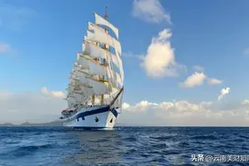 云南省管企业70后正职干部图片