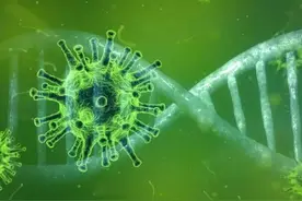 神奇，手指的长度和比例，能够预测感染新冠后的严重程度图片