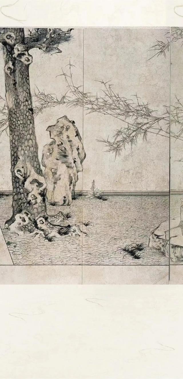 川贝炖花胶 2026年花胶川贝瘦肉的做法