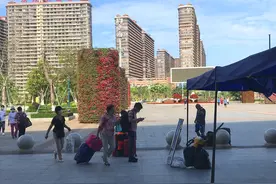 海南候鸟又到了返家季，今年想说再见不容易，“海陆空”都纠结图片