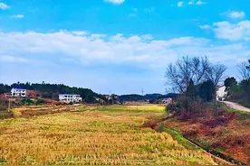 河南男子在车站一见钟情爱上女孩，对对方念念不忘，原来是新同事图片