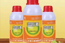 芸苔素内脂是“万能药”绝对不夸张，但遇到这几种情况，千万别用图片