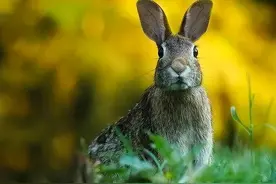 如何过好这一生？你需要知道这20件事图片