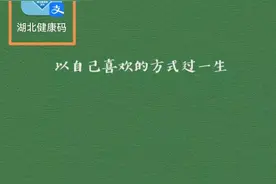 如何将支付宝健康码添加到手机桌面方便外出时快速出示？图片