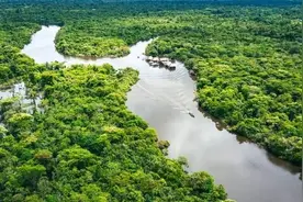 原创亚马逊雨林为何称为人类禁区，却是动物的天堂？看完就知道！图片