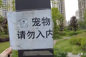 打人者被上海警方刑拘！“遛狗不栓绳，还把6岁邻居打成脑震荡”一事最新进展→图片
