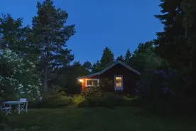 凶案真相（三）图片