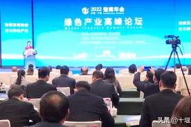 2022楚商年会绿色产业高峰论坛举行 培植发展动能 壮大绿色产业图片