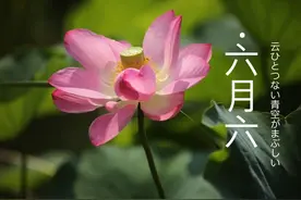 农历六月六到了，要记住“做3事，吃3样”，尊重传统，为家人祈福图片