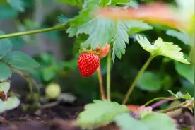 时光，再慢些吧图片