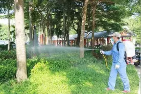 院子里蚊子多，就用这三种控蚊方法图片