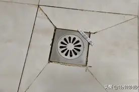 卫生间小黑虫又出来了，只需简单一招，家里再也不会有小飞虫图片