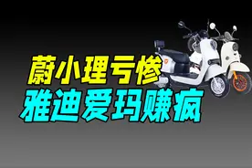 谁是小电驴之王？（雅迪、爱玛）图片