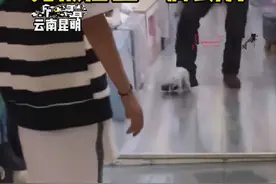 流浪猫跑进店内，却被店主无情用脚踢走：就不能温柔一些吗？图片