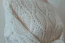 太高级太好看的罩衫了，为自己钩一件吧附图解图片