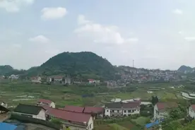 李娟 我的老父亲图片