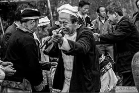 1988年，吉林老中医葬礼上，母狼含泪往棺木扔野果，哀嚎不肯离去图片