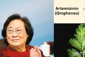 研究发现：青蒿素能在16小时内杀死癌细胞！它真的是癌症克星吗？图片