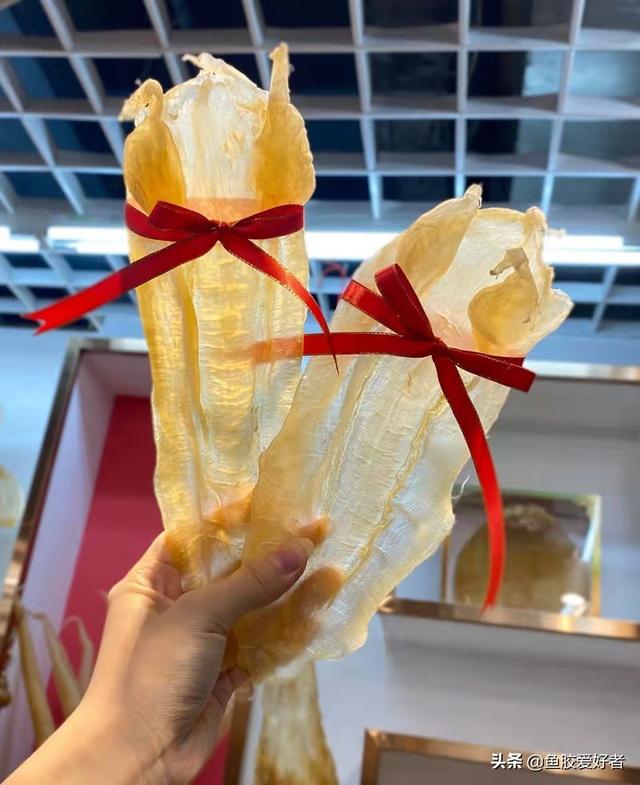 双芽竹叶鱼胶对人有什么作用 2026年双芽鱼胶是什么鱼