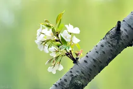 女人如此“称呼”你，就是余生“追随”你的意思图片