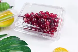 一次性透明盒子不要扔，原来是个宝，好多人不懂有啥用，太棒了！图片