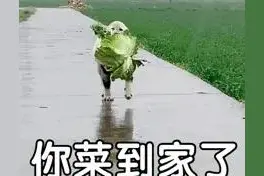 可爱表情包 | 你菜到家了图片