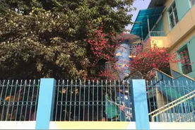 幼儿园带回来的趣事图片