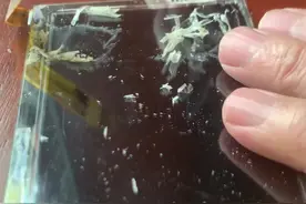 更换老化的液晶偏光膜图片