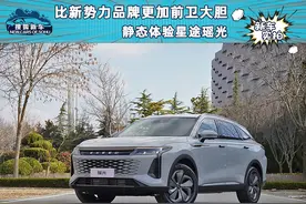 比新势力品牌更加前卫大胆 静态体验星途瑶光图片