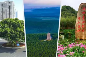 看中国式现代化图景丨绿树成荫图片