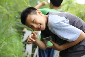 在短视频科普昆虫：10岁小学生有20万粉丝，学校准备为他开社团图片