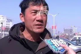 小马走失疑踢死羊羔被索赔4000元图片