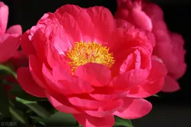 一个人，如果占了这三种“长相”，关系再亲也不要深交图片