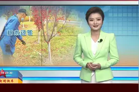 「视频」树木涂白“穿新裙”防虫抗冻迎寒冬图片