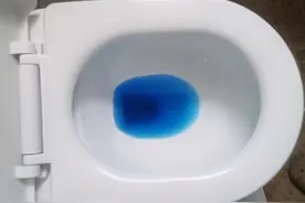 同样的马桶，虹吸式和直冲式，哪个用着更省心？一文解答清楚图片