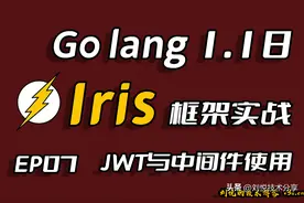 GolangWeb框架Iris项目实战-JWT和中间件(Middleware)的使用EP07图片