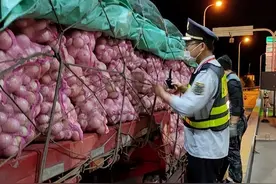 33吨胡萝卜过不了绿通，要交4700元过路费，负责人：卸下来检查！图片