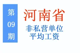 最新！河南公布2021年非私营单位平均工资：你达标了吗？图片