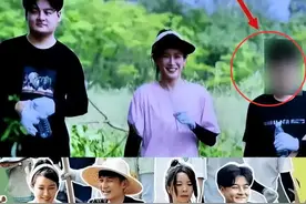 综艺镜头被打码，被官网一夜除名，李维嘉发生了什么？图片